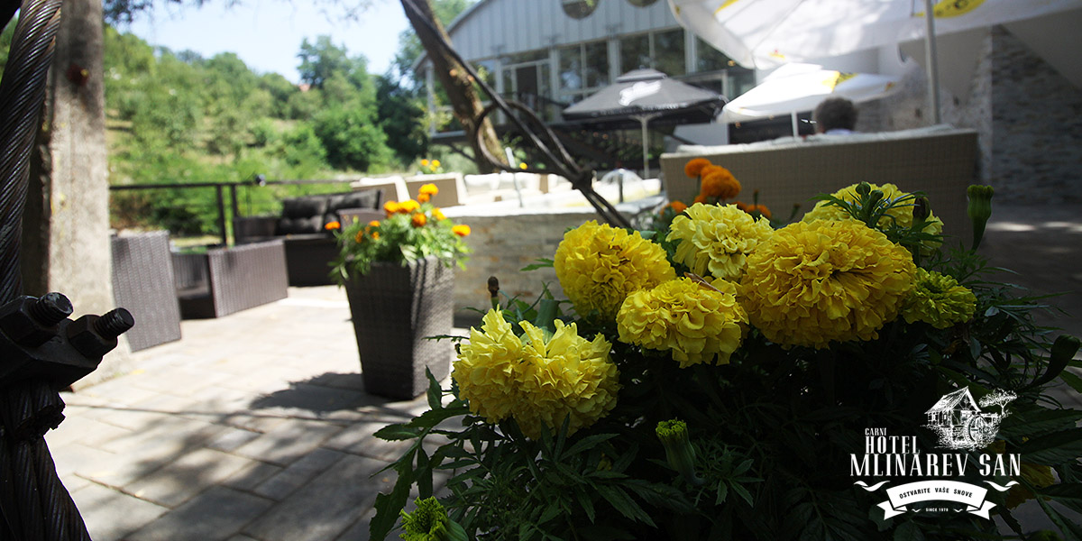 HOTEL MLINAREV SAN